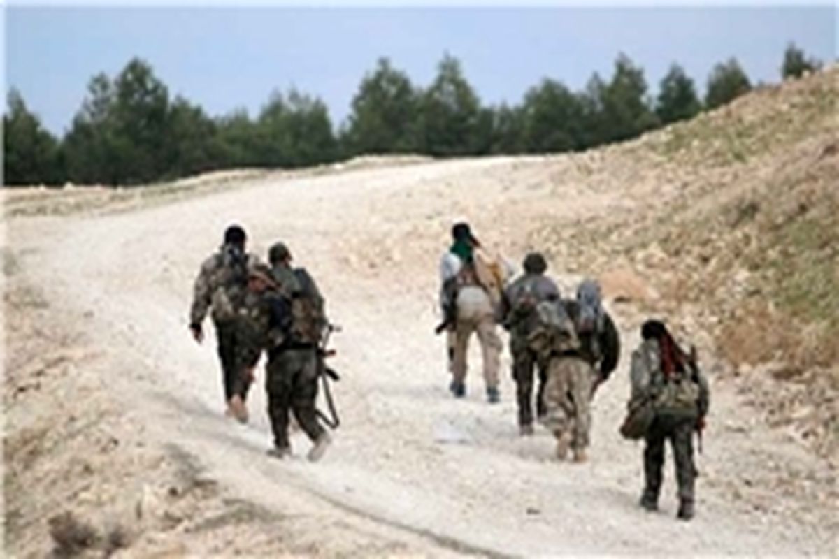 عناصر تروریستی «اهل الشام»