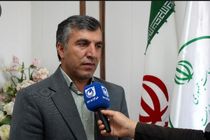 حفاظت از گونه‌های در خطر انقراض؛ گوزن زرد ایرانی زیر نظارت دقیق محیط زیست ایلام