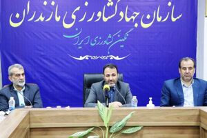 دیپلماسی غذایی برای صادرات مرکبات مازندران به چین/ مرکبات مازندران در راه روسیه، هند و چین