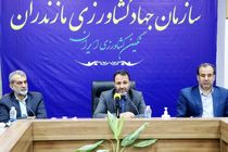 دیپلماسی غذایی برای صادرات مرکبات مازندران به چین/ مرکبات مازندران در راه روسیه، هند و چین