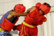 فدراسیون ووشو ایران با انجمن ووشو چین تفاهم‌نامه همکاری امضا می‌ کنند