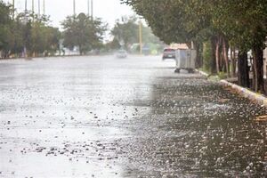 باران مهمان کردستان می شود