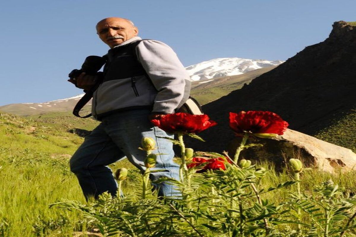 سلطانی