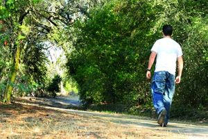 برای سلامتی روزانه چند قدم پیاده روی کنیم؟