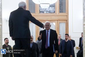 دیدار هماهنگ کننده سیاست خارجی اتحادیه اروپا با ظریف