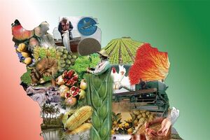 صنایع تبدیلی نیاز اصلی استان کردستان است