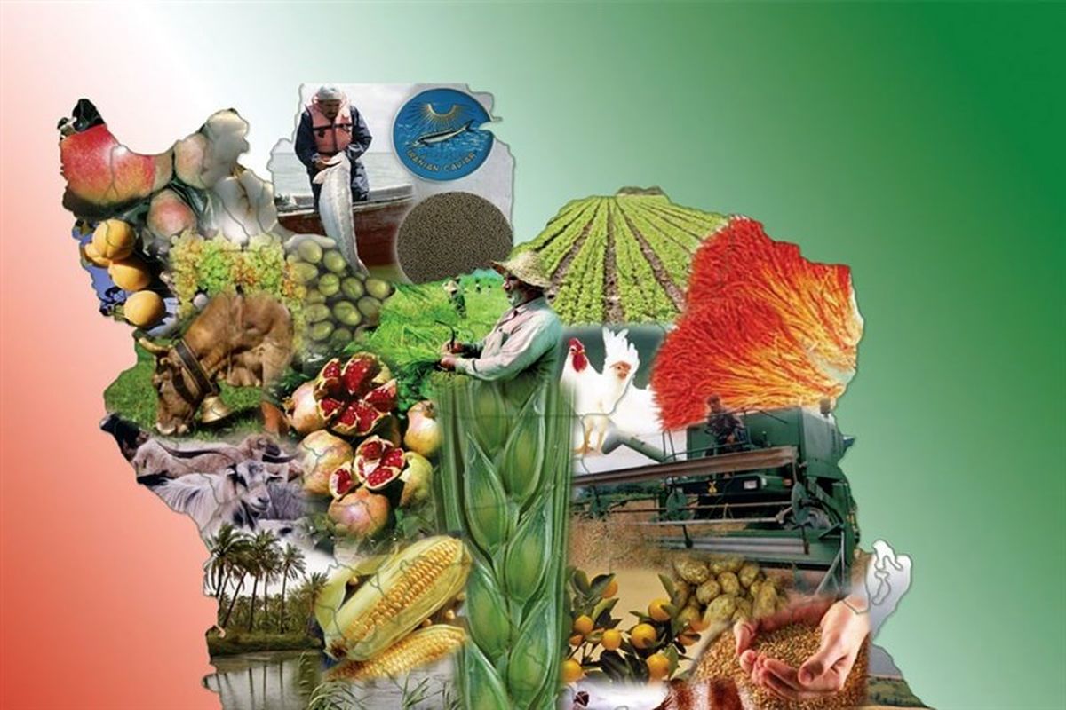 استاندار کردستان