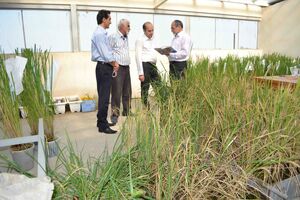 طرح کلان ملی زیست فناوری بلوط با مشارکت تمام استان‌ها تدوین می شود