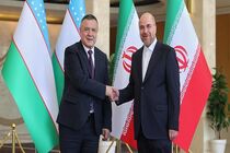 رئیس مجلس ازبکستان با رئیس مجلس دیدار کرد