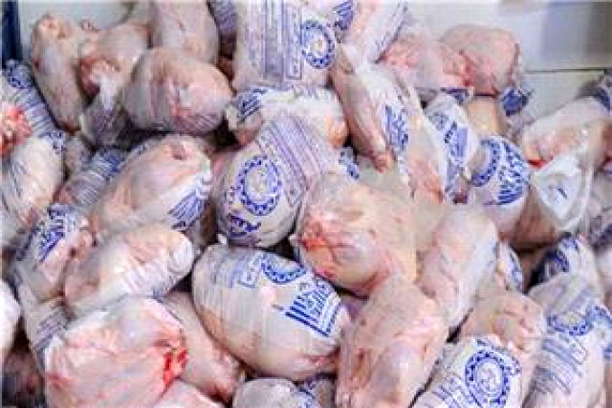اصفهان- مرغ حمایتی