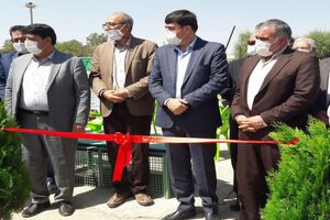 تعلق 250 هکتار از اراضی خمینی شهر به فضای سبز شهری