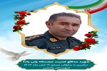 مامور پلیس در عملیات دستگیری سارقان مسلح به شهادت رسید