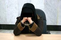 دستگیری سارق اموال داخل خودروی رانندگان اسنپ در  شاهین شهر