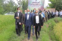 آغاز برداشت مکانیزه برنج در آمل