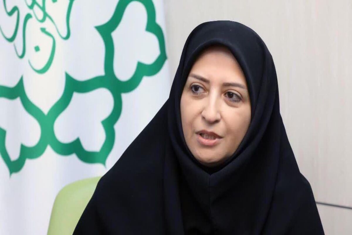 انصاری
