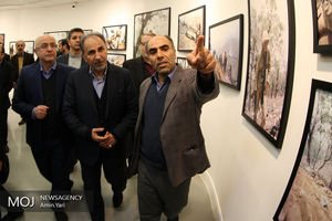 بازدید شهردار تهران از مجموعه خانه هنرمندان ایران