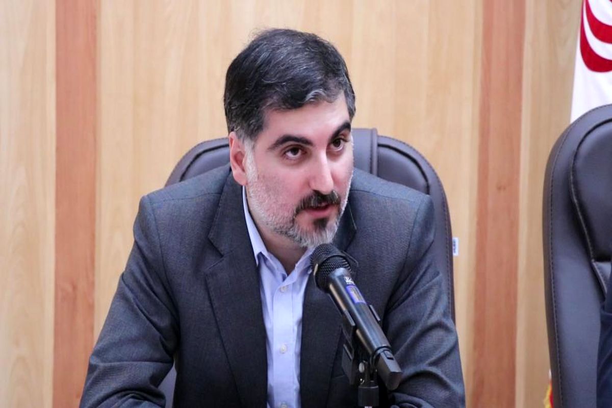 مدیرکل دفتر امور روستایی و شوراها