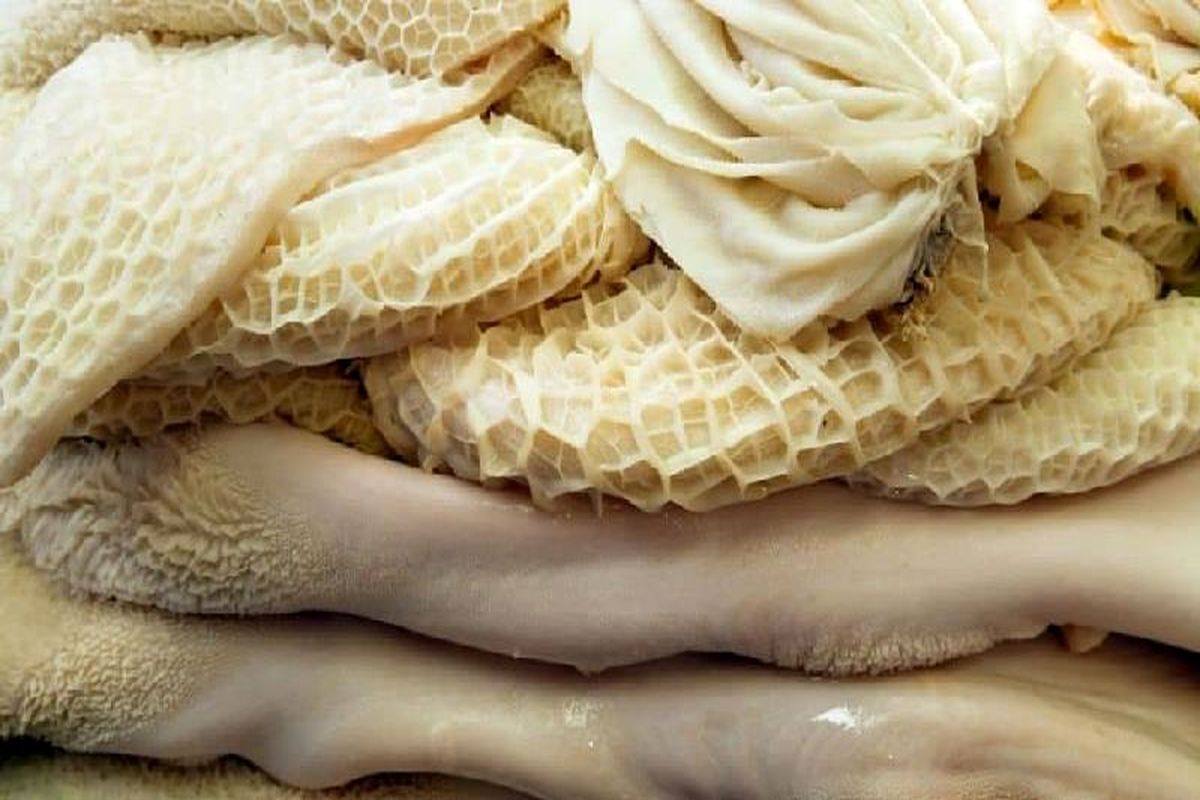  صادرات سیرابی