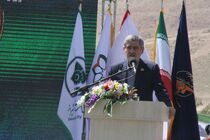 شهروندان قطع شدن درختان در شیراز را اطلاع‌رسانی کنند