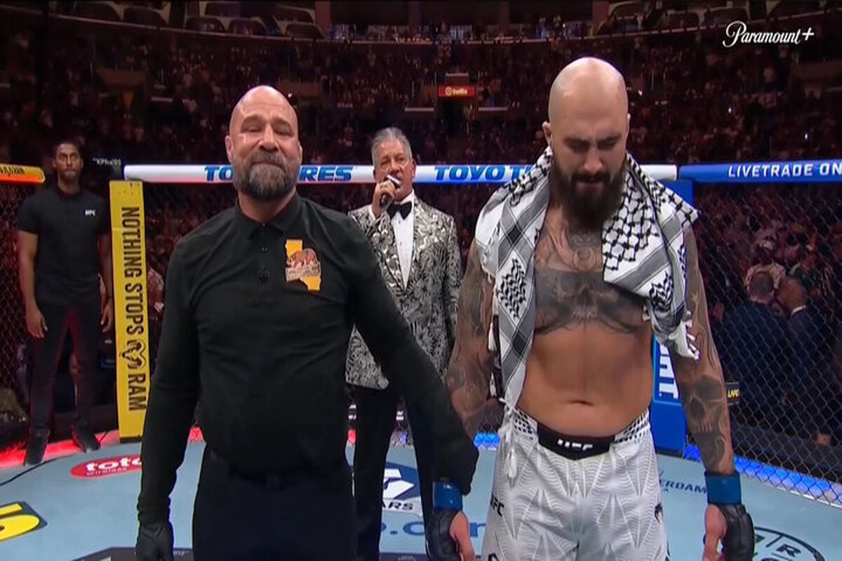 رشته رزمی MMA