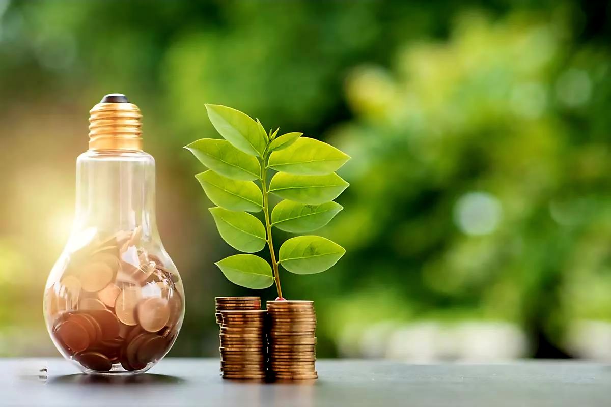 شرکت توزیع نیروی برق فارس 