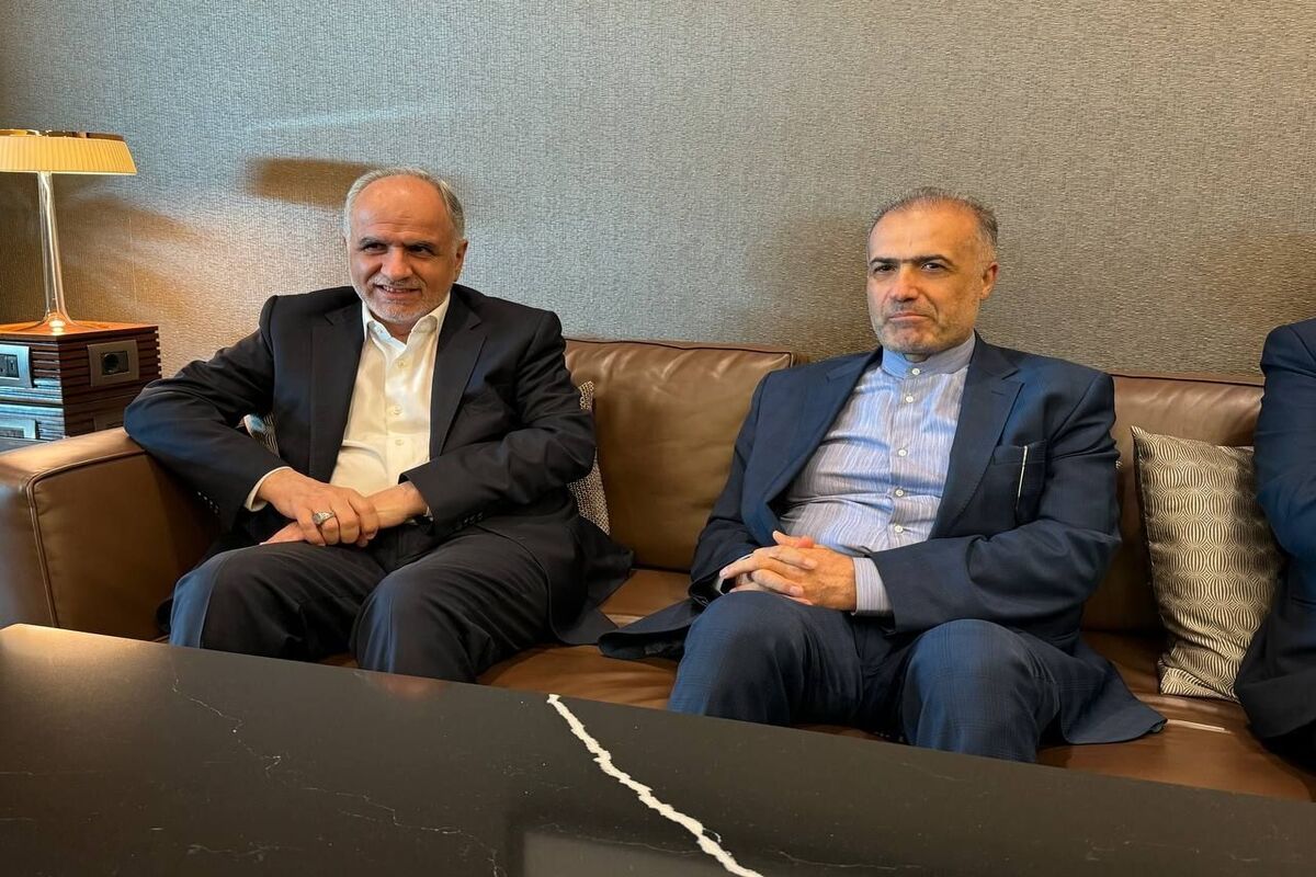 وزیر دادگستری به مسکو برای شرکت در اجلاس بریکس وارد شد
