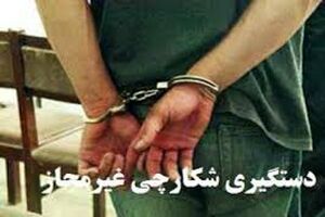 دستگیری یک متخلف شکار در کاشان / کشف لاشه بز وحشی در ایستگاه راه‌آهن 