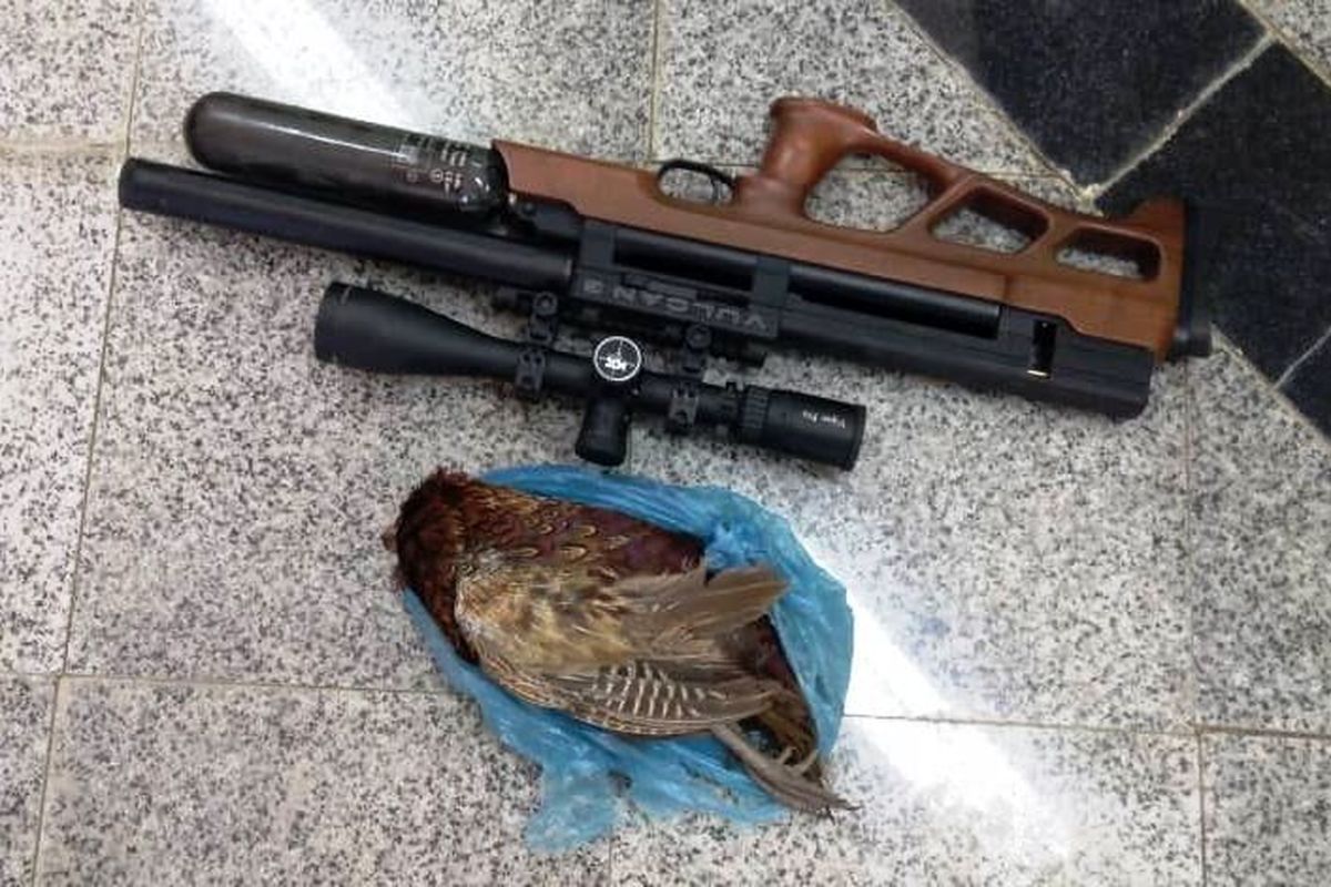 محیط زیست مازندران