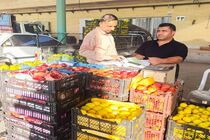 الزام صدور فاکتور الکترونیکی و شفافیت قیمت‌گذاری در میدان میوه و تره‌بار هرمزگان