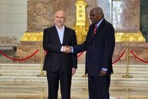  روسای مجالس ایران و کوبا با هم دیدار کردند