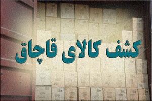 کشف انواع کالای قاچاق در لارستان