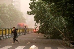 هواشناسی تهران افزایش نسبی دما و وزش باد شدید را پیش‌بینی کرد