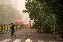 وزش باد شدید در تهران ادامه دارد
