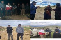 عشایر کوچ رو در منطقه سرگچ میداوود دچار حادثه شدند