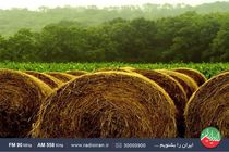 ایران امروز کمبود علوفه در کشور را بررسی می کند