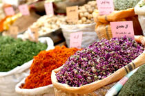 برداشت گیاه دارویی (آنیسون) شیرین بادیان از مزارع داورزن