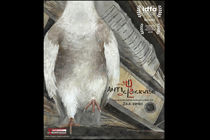 مستند خلاف عقربه های ساعت به جشنواره زاگرب راه یافت