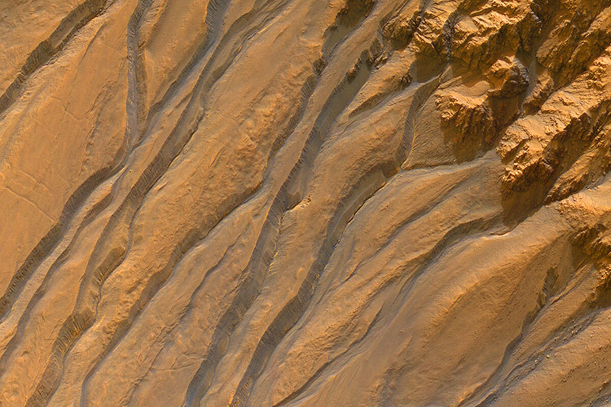 fObvhoF8hYdm