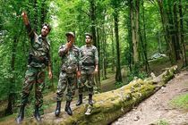 برخورد قاطع منابع طبیعی مازندران با باندهای قاچاق چوب و پلمب کارگاه‌ها در تهران