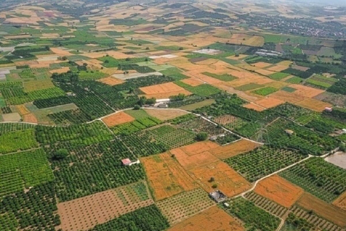 صدور سند حدنگار