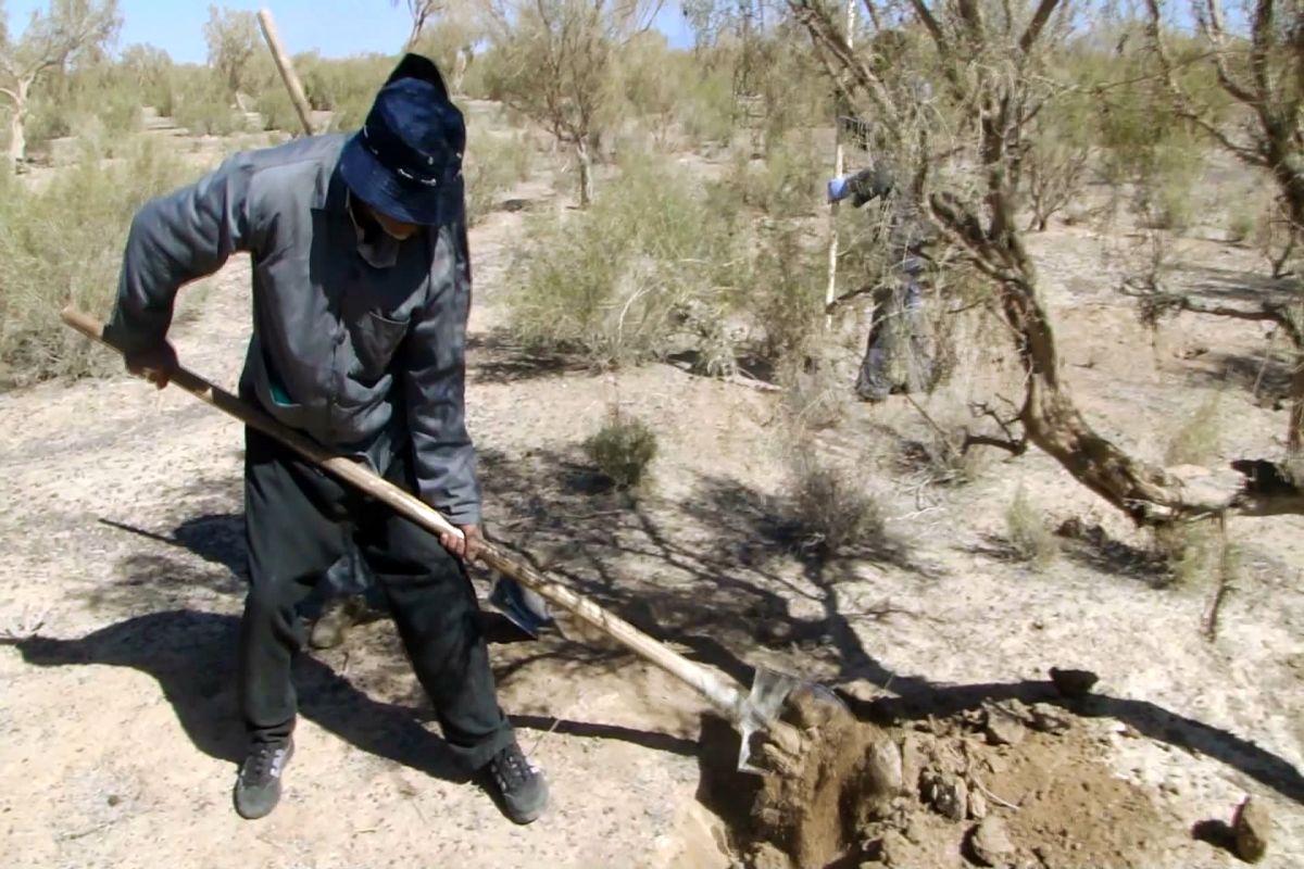 اصفهان- طرح مبارزه با بیمایر سالک