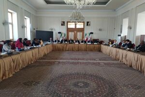 تهران میزبان گفت‌وگوهای سه‌جانبه ایران، هند و ارمنستان شد