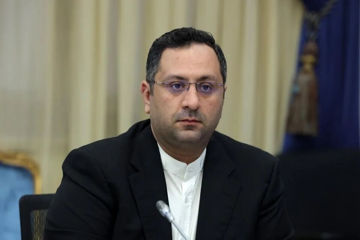 محمدحافظ حکمی