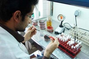 حضور ۲ هزار داروساز در پانزدهمین همایش سالانه انجمن علمی داروسازان / درمان درد بررسی می‌شود