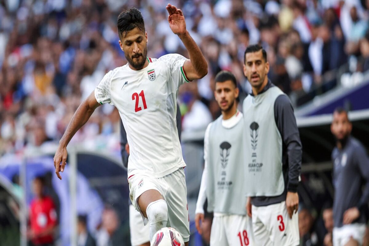 محمد محبی