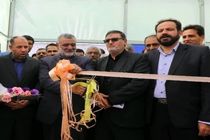 شهرک گلخانه ای درخمینی شهر افتتاح شد