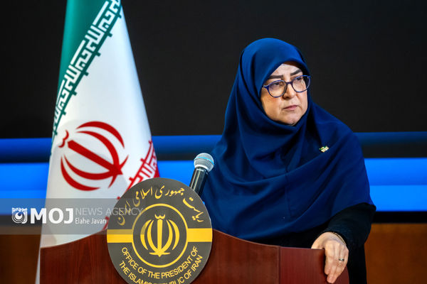 با همه توان دولت در میدان است