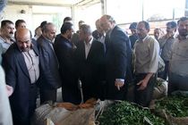 مطالبات چایکاران هفته آینده پرداخت می شود