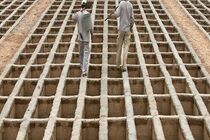 ظرفیت آرامستان وادی رحمت تبریز تا دو سال آینده پر می‌شود