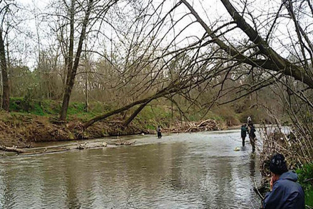 رودخانه